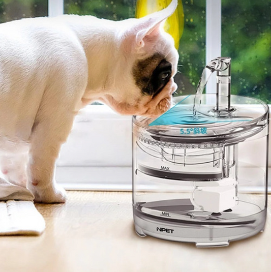 Fuente Bebedero Transparente 4 Filtros